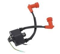 CHICIRIS Bobina de Encendido Fueraborda, Reemplazo de Rendimiento Mejorado para Motor Fueraborda de 2 Tiempos de 9,9 a 18, con Resistencia Al Agua Salada para un Arranque Estable del