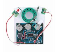 CHICIRIS Chip del Módulo de Grabación de Voz con Batería de Botón, Ideal para Proyectos de artesanía: Control de Doble Botón con Cable, Control de Llave (Versión de Cable extendida)