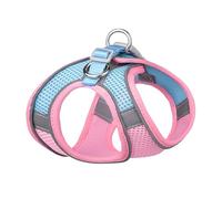 CHICIRIS Juego de Correa y Arnés para Perros, Malla Reflectante, Cómoda y Transpirable para Caminar Entrenar Mascotas, 1 Arnés, 1 Correa (S)