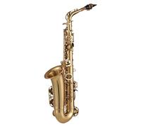 CHICIRIS Saxofón EB alto, tipo de botón plano con saxofón plano 875 de latón con accesorios para saxofón para todo tipo de música, un bonito saxofón de latón en E y oro lacado