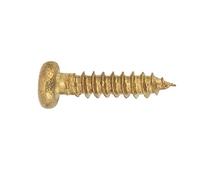 CHICIRIS Tornillos de montaje cromados para afinadores de guitarra, 50 piezas Pickguard tornillos para reparación de guitarras y repuesto de sintonizador (OLD)