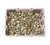 CHICKEN Cristales Y Piedras A Granel Adornos de Piedra áspera Cristal pirita Natural, Muestra Mineral, difusor aromaterapia, desmagnetizante, triturada Suministros para Pulir Piedras(1.5-2cm)