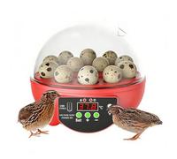 Chicken Egg Incubator - Incubators para huevos, incubators For Hatching Eggs, Clear Window Egg's Hatchings Incubator With Automatic Temperature And Humidity Control For Chicken Duck Quail