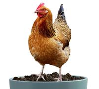 Chicken Garden Decor - Acrylic Hen Yard Stake | Weatherproof Ornament
