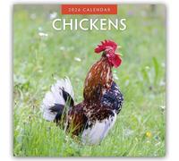 Chickens 2026 Square Wall Calendar: Original Red Robin Publishing Ltd-Kalender [Mehrsprachig] [Kalender]