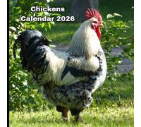 Chickens Calendar 2026