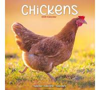 Chickens Calendar 2026 Square Farm Animals & Birds Wall Calendar - 16 Month