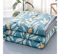 Chickwin Colcha de Verano Colcha Acolchada para Cama, Multiuso Simple Floral Edredón Manta de Dormitorio Reversible Suave Colchas para Cama Matrimonio Individual (180x200cm,Lago Azul)
