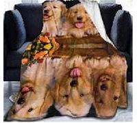 Chickwin Manta Franela Animal Impresión, Twin Grande Bedding Manta de Felpa Cosy Soft cálidas y Ligeras Mantas de Sofá Cama para Adultos y Niños Dormitorio Colcha (Labrador,120x150cm)