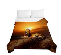 Chickwing Colcha de Verano Cubrecama Colcha Bouti, 3D León Edredón Manta de Dormitorio Ligero Suave Multiuso Colchas para Cama Infantil Individual Matrimonio (Atardecer,230x280cm)