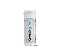 Chicles Xylitol White (dientes blancos) 30g Steviagum