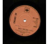 CHICORY TIP - CHICORY TIP - WHAT'S YOUR NAME - 7 INCH VINYL / 45