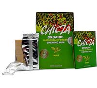 Chicza Chewing Gum - Mint - 10 x 30g