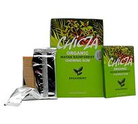 Chicza Chewing Gum - Spearmint - 10 x 30g