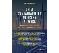 Chief Sustainability Officers At Work: How CSOs Build Successful Sustainability and ESG Strategies