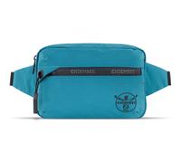 Chiemsee Light N Base Riñonera 21 cm verde