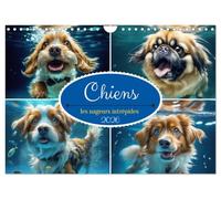 Chiens : les nageurs intrépides (Calendrier mural 2026 DIN A4 vertical), CALVENDO calendrier mensuel: Découvrez la magie des chiens sous l'eau.