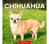 Chihuahua Calendar 2027: Dog Portraits and Home Scenes