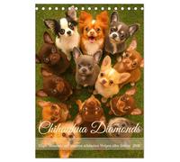 Chihuahua Diamonds - Magic Moments mit unseren schönsten Welpen aller Zeiten (Tischkalender 2026 DIN A5 hoch), CALVENDO Monatskalender: Kleine Diamanten auf vier Pfoten - pure Liebe