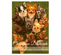 Chihuahua Diamonds - Magic Moments mit unseren schönsten Welpen aller Zeiten (Wandkalender 2026 DIN A2 hoch), CALVENDO Monatskalender: Kleine Diamanten auf vier Pfoten - pure Liebe