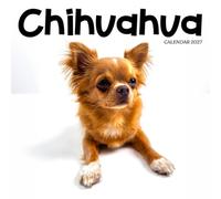Chihuahua Dog Calendar 2027: Tiny Paws and Big Attitudes