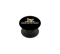 Chihuahua ¿Dónde Vas Feliz Perro Positivo Amistoso PopSockets PopGrip Adhesivo
