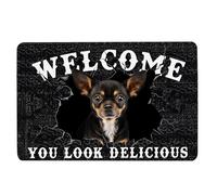 Chihuahua Felpudo divertido Chihuahua Welcome You Look Delicious Dog Lover Gift Welcome Antideslizante Felpudo Divertido Felpudo Baño Cocina Porche Delantero Alfombras Entrada 40 * 60 cm
