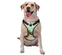 Chihuahua in Tropical Forests - Arnés prémium para perros pequeños, medianos y grandes, duradero, sin tirones, con correas reflectantes y hebillas de liberación rápida, tamaño mediano