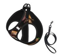 Chihuahua Perro Lindo,Arnés para Mascotas, arnés Reflectante Ajustable para Perros,L