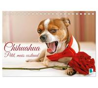 Chihuahua : petit, mais costaud (Calendrier de bureau 2026 DIN A5 vertical), CALVENDO calendrier mensuel: Chihuahua : Curieux, agile et toujours prêt pour l'aventure