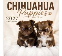 Chihuahua Puppies Calendar 2027: Small Puppy Photography