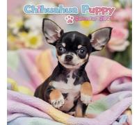 Chihuahua Puppy Calendar 2026: 12 months of Chihuahua Puppy dogs: from January to December 2026 | The ideal gift for both planning, organization and dogs