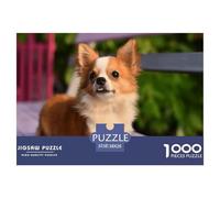 Chihuahua Puzzles Imposible,desafío for Adults Long-haired Chihuahua on Purple Bench Entretenimiento Creativo 1000 Piezas Obra De Arte De Juego De Para Adultos, Regalos A Partir De 14 Años 38x26cm/100