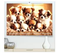 Chihuahua-Welpen - Kleine Wunder (hochwertiger Premium Wandkalender 2026 DIN A2 quer), Kunstdruck in Hochglanz: Ein Jahr voller flauschiger Chihuahua-Freude