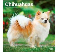 Chihuahuas 2027 - 16-Monatskalender: Original BrownTrout-Kalender [Mehrsprachig] [Kalender] (Chihuahuas | 2027 12 x 24 Inch (Hanging) Monthly Square ... | Animals Small Dog Breeds Puppies)