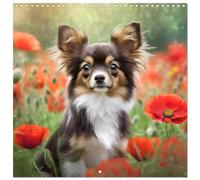 Chihuahuas - Companions for the Whole Year (Wall Calendar 2026 12" x 24" / 30 x 60 cm (abierto)) CALVENDO 12 Month Wall Calendar