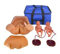 Child Birth Education Tools Midwifery Training Model Childbirth Simulator Life Size Pelvic Anatomical Model with 2 Fetus - 2 Placenta - 2 Umbilical Cord for Education and Training