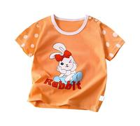 Children's Short Sleeved Pure Cotton Summer New Boys' T Shirts Baby Girls' Short Sleeved T Shirts Saco Cesta Carro (Orange, 18-24 Months)