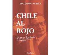 Chile al rojo: Los secretos de la llegada de Salvador Allende a La Moneda (De lo público y lo privado) sobre un país confundido