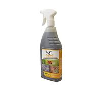 Chimiver - LIOS GRIGIOFF | Limpiador Regenerador para Decking, Madera ennegrecida. Tratamiento adecuado para la limpieza de todas las superficies de madera de exterior. Botella con nebulizador de 1L