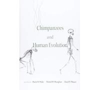 Chimpanzees and Human Evolution