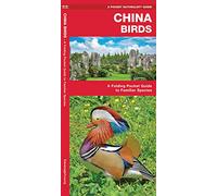 China Birds: A Folding Pocket Guide to Familiar Species (Pocket Naturalist Guide)