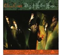 China Crisis - Diary of a hollow horse (1989)