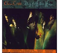 China Crisis - Diary of a hollow horse (1989) / Vinyl record [Vinyl-LP]