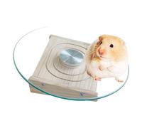 Chinchilla - Rueda para correr, suministros de salud silenciosos para animales pequeños, suministros de juguetes de jaula para casas y hábitats con rodamientos de metal, fitness físico para ratones