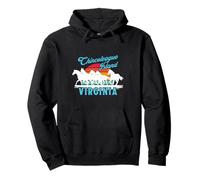 Chincoteague Island Wild Horses Virginia Viaje Retro Atardecer Sudadera con Capucha