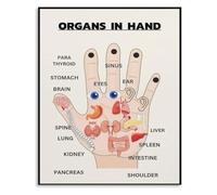 Chinese Medicine Meridian Metal Sign Organ Pathway Diagram Vintage Educational Poster for Acupuncture Clinic Herbal Store Wall Decor 8 X 12 inch