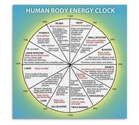 Chinese Medicine Poster 24 Hour Biological Clock Wellness | Educational Print Featuring Meridian Cycle Healthy Living(Framed,12x18inch(40x40cm))