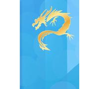 Chinese Vocabulary and Pinyin Practice Copybook: A 3-Column Notebook for Writing Chinese Characters, Phonetics (Pinyin), and Translations - 120 Pages for Effective Vocabulary Learning