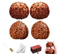 Chinese Walnuts Fidget,2 Pcs Walnut Hand Massage Balls,2026 New Wenwan Walnuts,Exercise Walnut for Hand Training (A+B, 41-42mm)